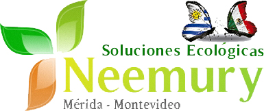 NEEMURY